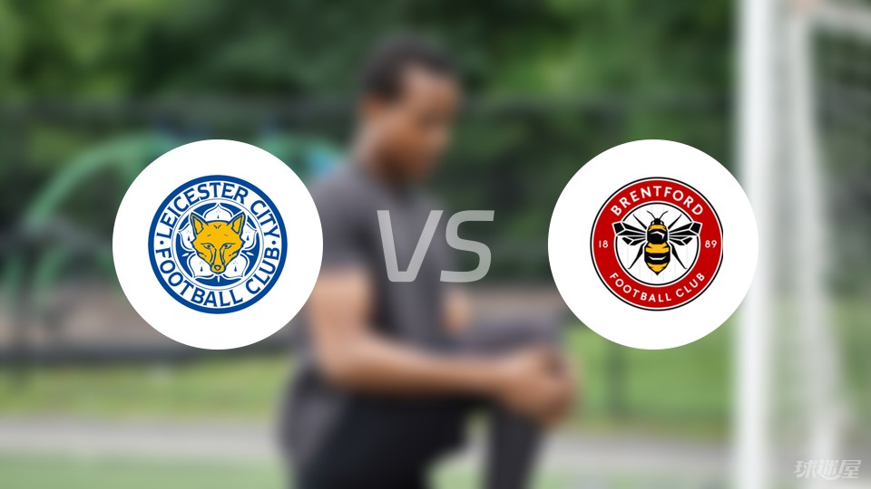 前锋远射破门，球迷现场尖叫